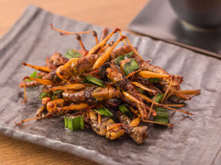 Insetos da culinária oriental: você come ou passa?