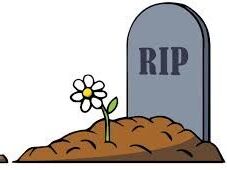 Você seria capaz de matar alguém por 1 milhão de reais?