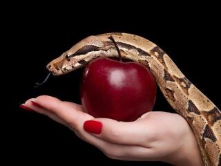 Qual dos 7 pecados capitais você mais comete?