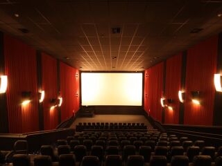 Quem você chamaria para ir ao cinema?